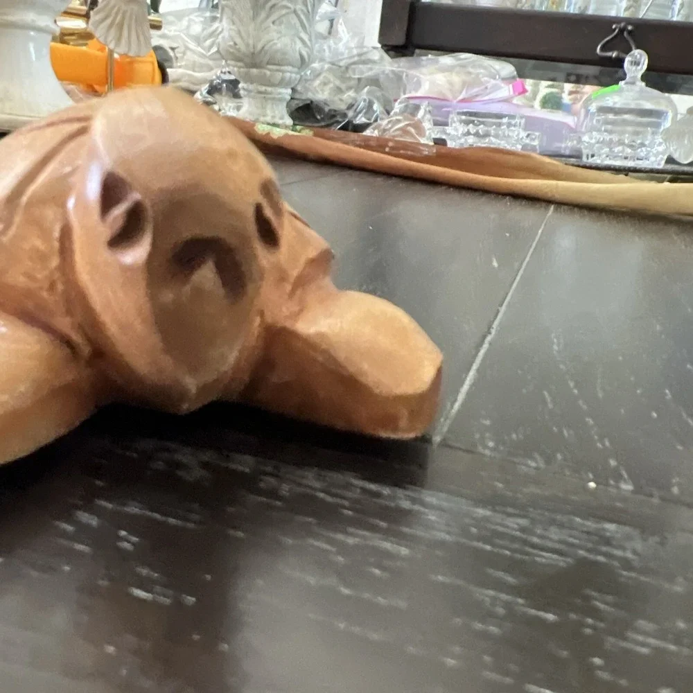 Wood Carved Turtle 5